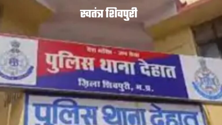 Picsart 24 09 02 19 00 06 868