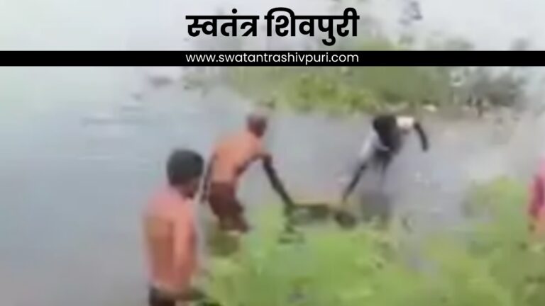 Picsart 24 09 04 21 05 20 301