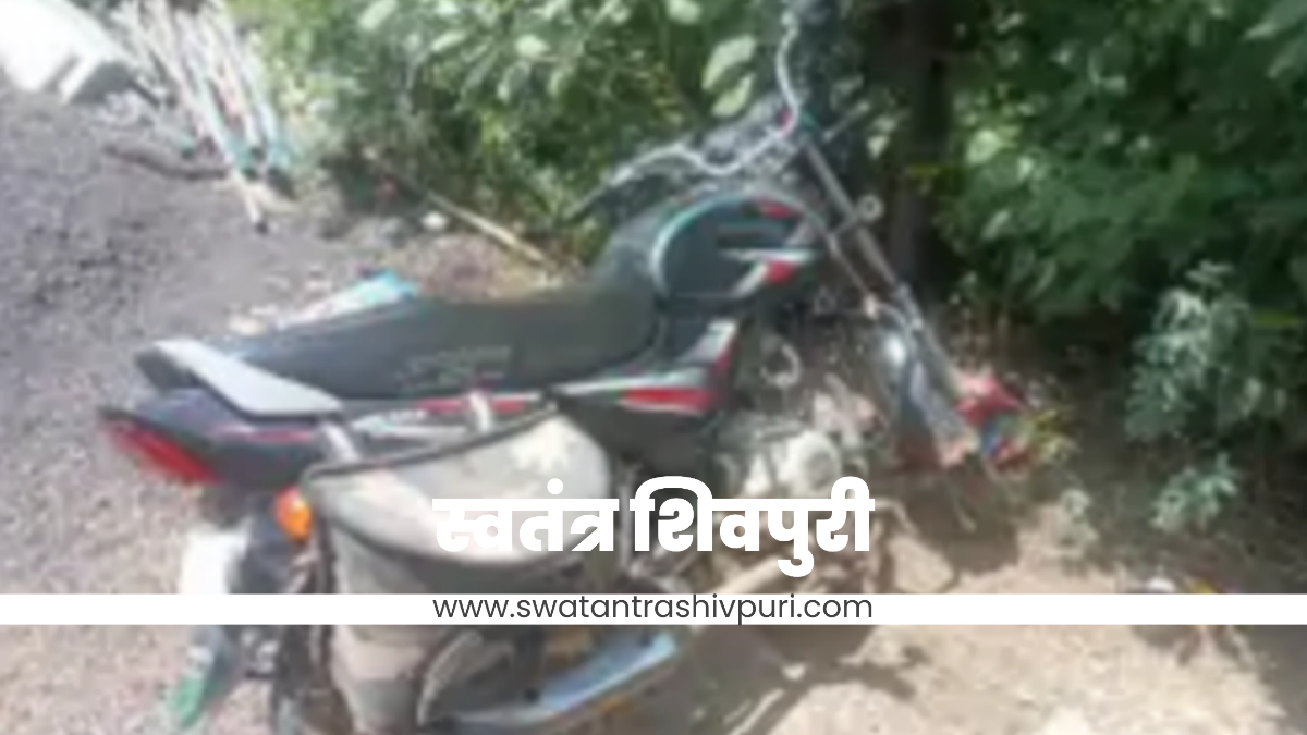 Picsart 24 09 08 21 45 17 576