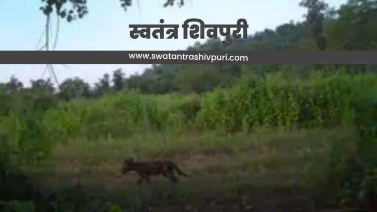 Picsart 24 09 17 21 00 01 548