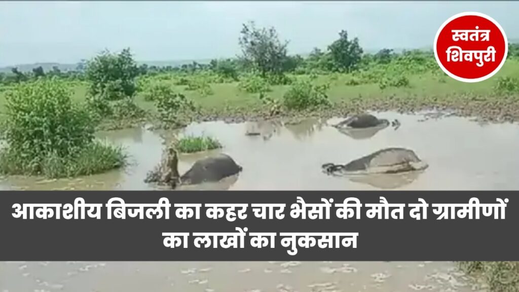 swatantra shivpuri 6