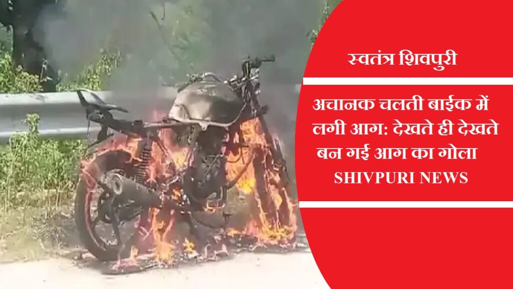 swatantrashivpuri 9