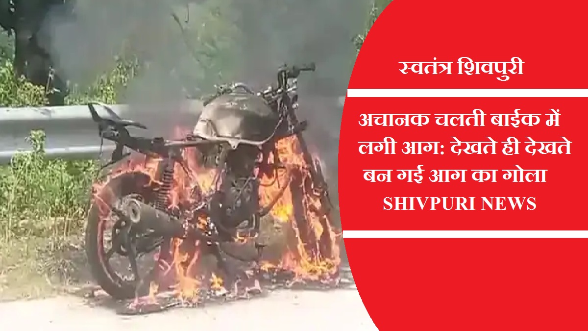 swatantrashivpuri 9