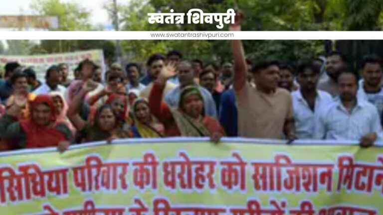 Picsart 24 11 25 21 12 17 019