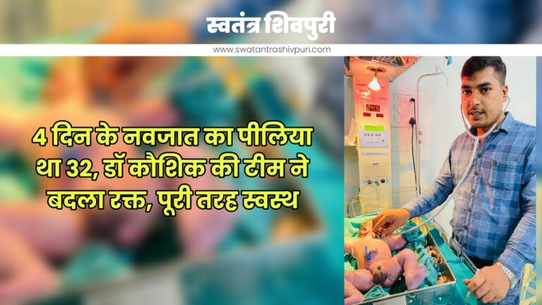 Picsart 24 11 26 20 17 22 395