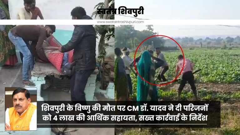 Picsart 24 11 27 20 28 13 923