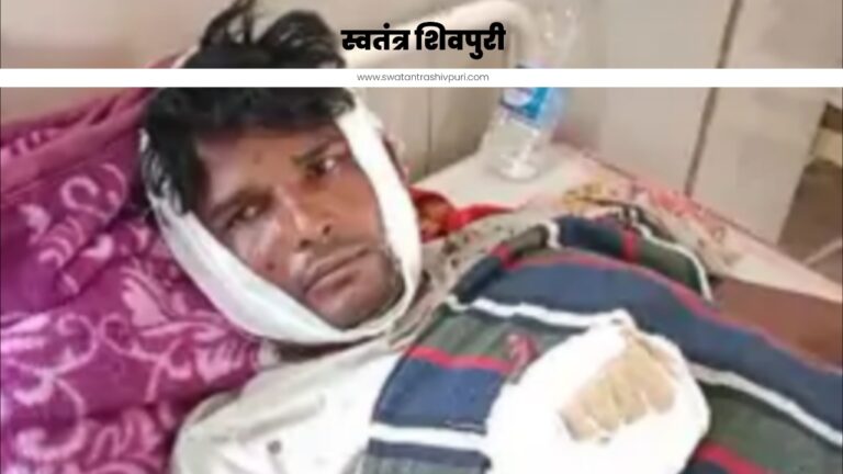 Picsart 24 11 29 20 06 14 636