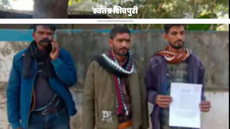 Picsart 24 11 29 20 08 33 466