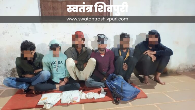 Picsart 24 12 22 22 01 19 235