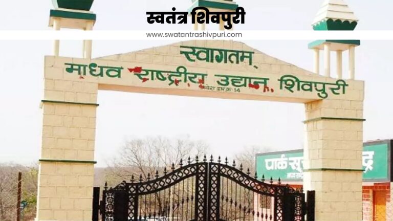 Picsart 24 12 24 20 02 34 684