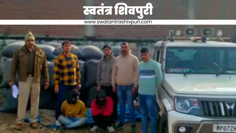 Picsart 24 12 29 22 31 46 248