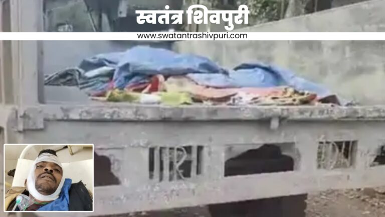 Picsart 24 12 29 22 32 19 935