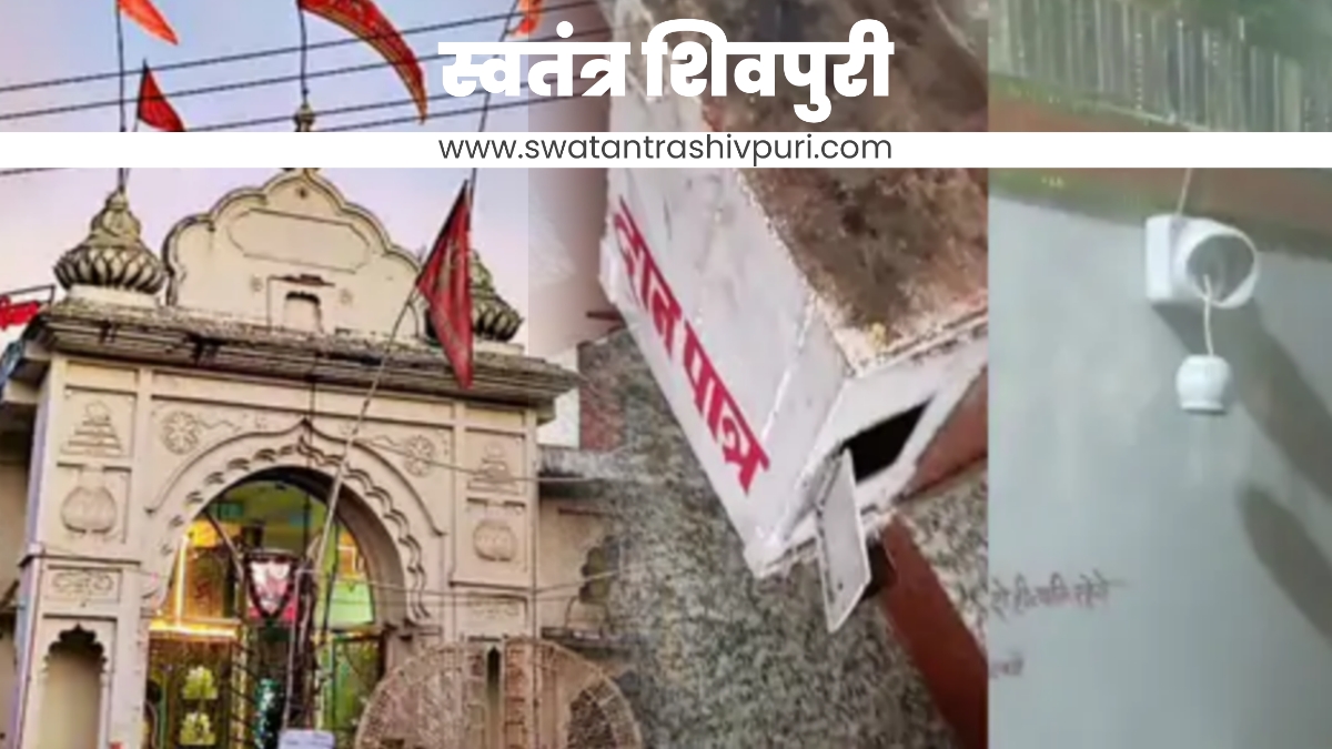 Picsart 24 12 30 13 24 03 145