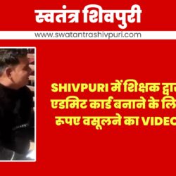 Picsart 24 12 30 14 02 39 399