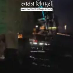 Picsart 25 01 26 21 35 08 228