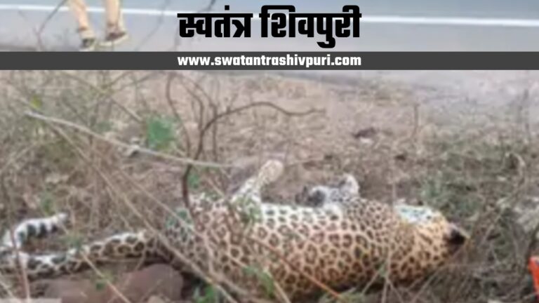 Picsart 25 02 08 21 16 44 654