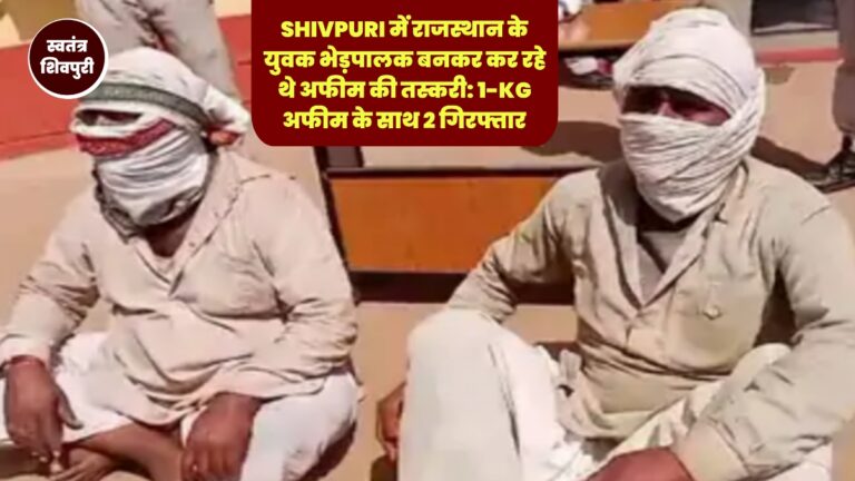 Picsart 25 02 20 20 46 46 523