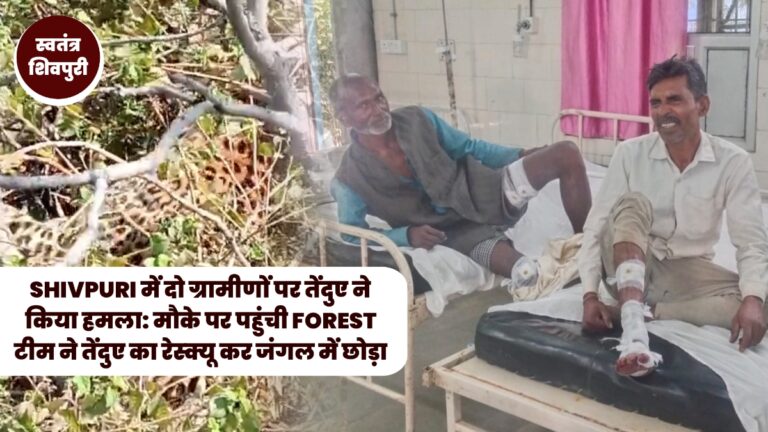 Picsart 25 02 22 19 03 33 955