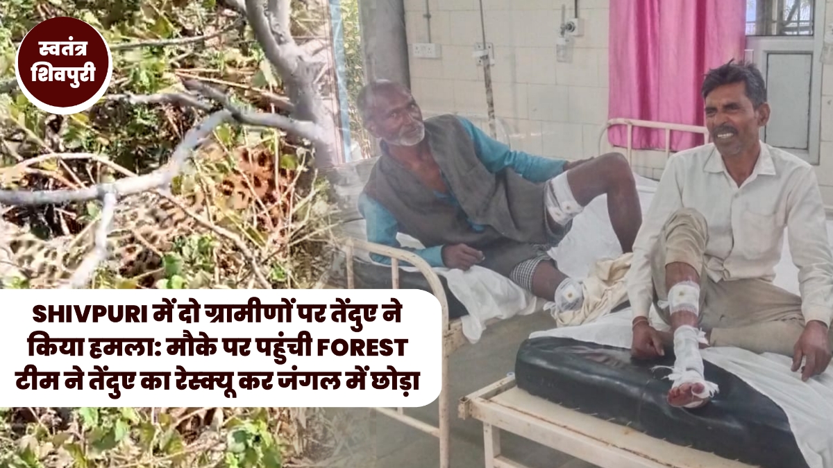 Picsart 25 02 22 19 03 33 955