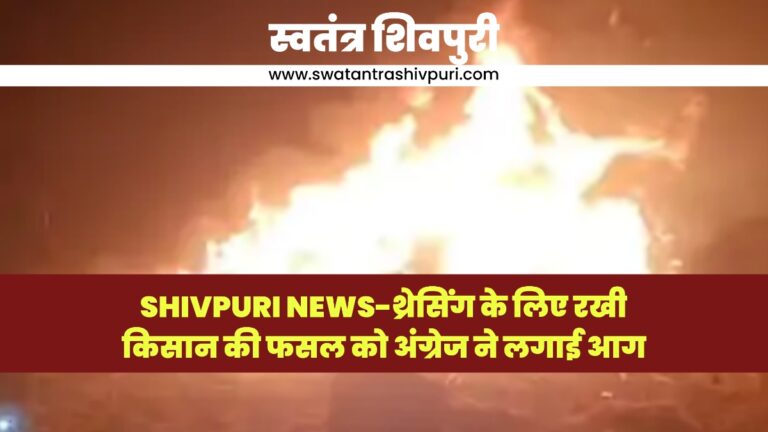 Picsart 25 03 01 17 42 51 663