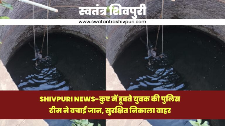 Picsart 25 03 01 18 06 35 344