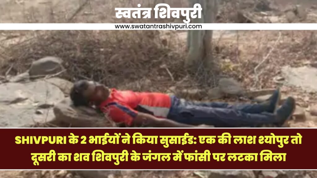 Picsart 25 03 02 17 37 32 212