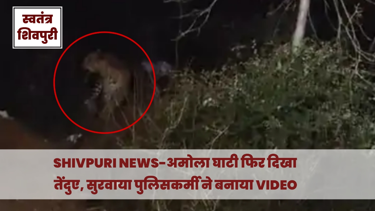 Picsart 25 03 05 12 36 18 033