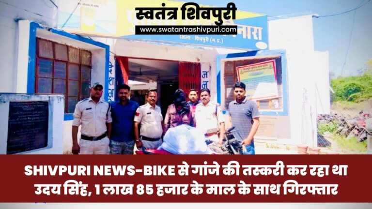 Picsart 25 03 09 18 03 33 392