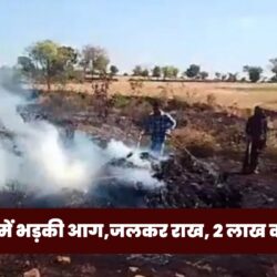 Picsart 25 03 11 17 32 30 050