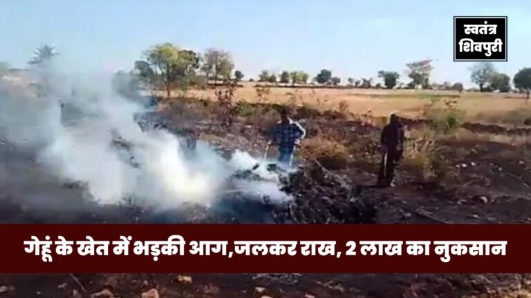 Picsart 25 03 11 17 32 30 050