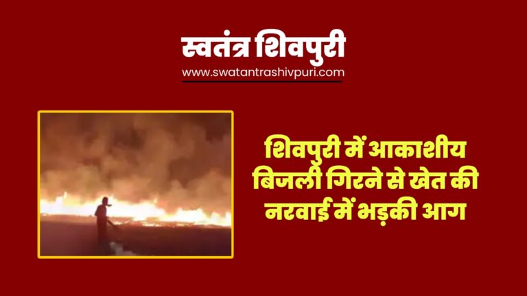 Picsart 25 04 03 17 10 52 211