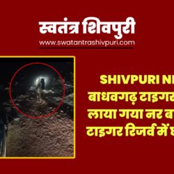 Picsart 25 04 03 17 32 23 092