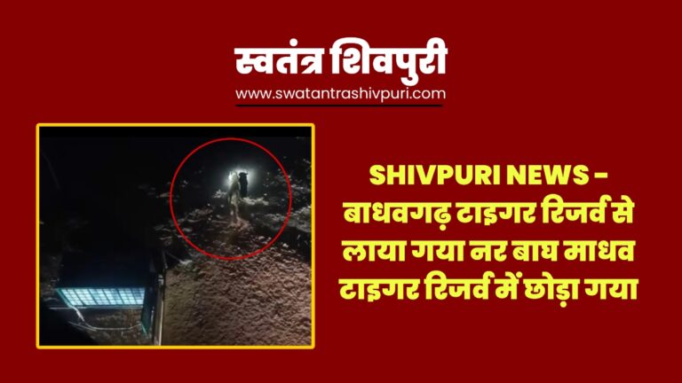 Picsart 25 04 03 17 32 23 092