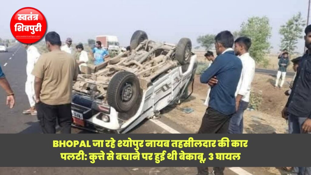 Picsart 25 04 16 19 00 46 675