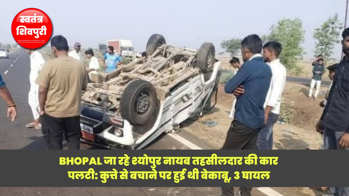 Picsart 25 04 16 19 00 46 675