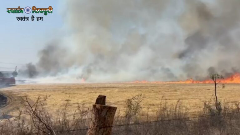 Picsart 25 04 24 17 16 05 550