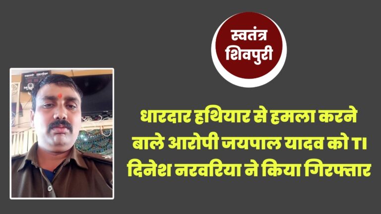 Picsart 25 05 23 20 03 12 418