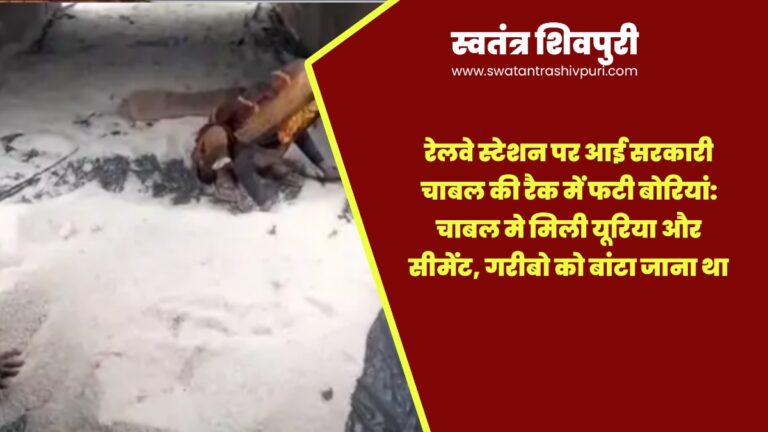 Picsart 25 06 04 15 35 15 612