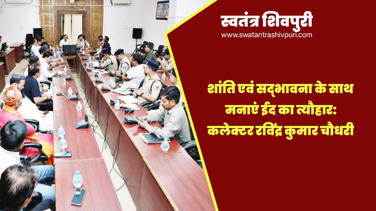 Picsart 25 06 04 17 02 17 921