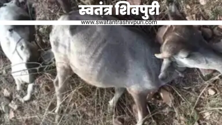 Picsart 25 06 06 13 24 11 167