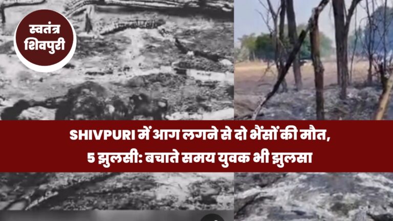 Picsart 25 06 08 18 50 09 641