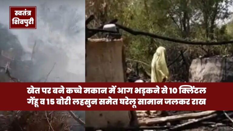 Picsart 25 06 09 18 08 22 674