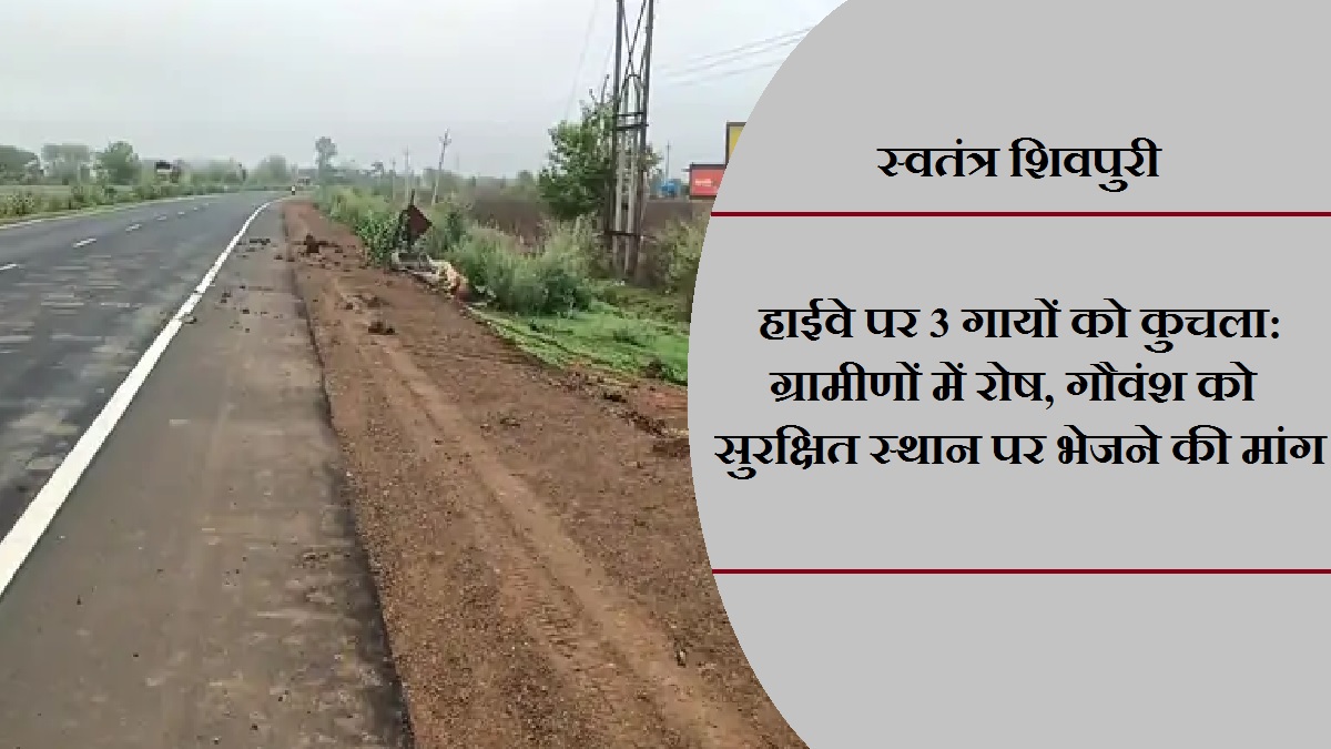 swatantrashivpuri 5