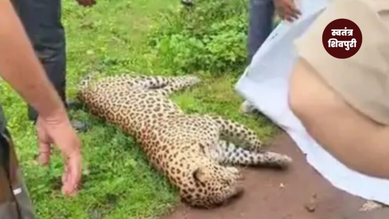 Picsart 25 07 25 14 10 56 878