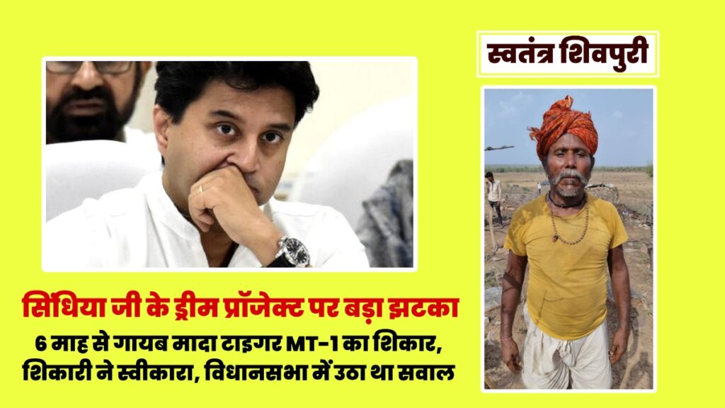 Picsart 25 07 28 18 45 25 924