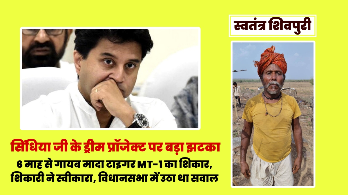 Picsart 25 07 28 18 45 25 924