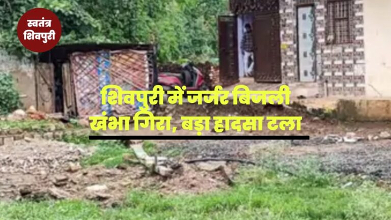 Picsart 25 07 31 19 02 25 622