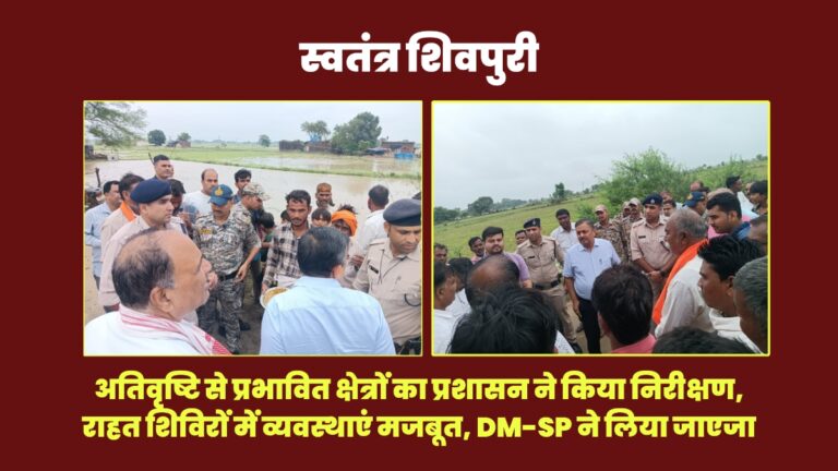 Picsart 25 07 31 19 31 35 335