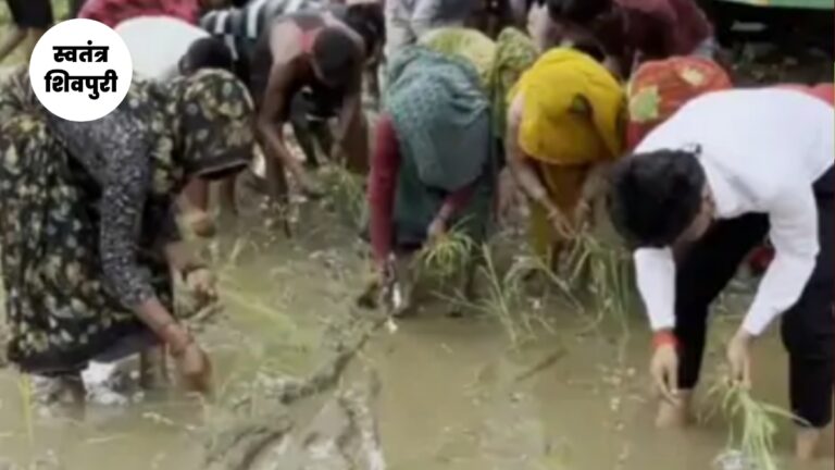 Picsart 25 08 07 15 10 12 866