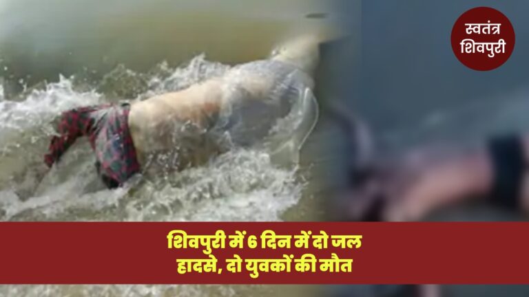 Picsart 25 08 28 21 02 34 708